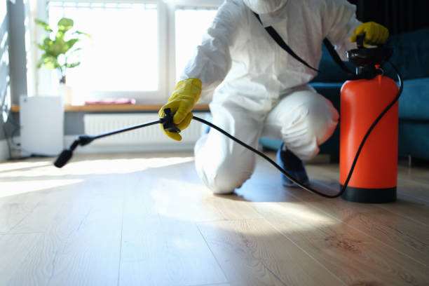 Reliable Odor Removal contractor in Orange Lake, FL by Trauma Clean Pros